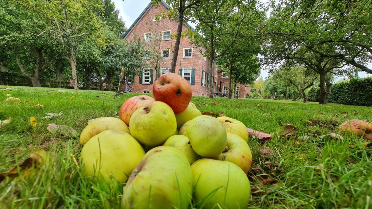 Gulfhof Boomgaarden Boomgaarden 16 Albert Krummhörn Eksteriør bilde